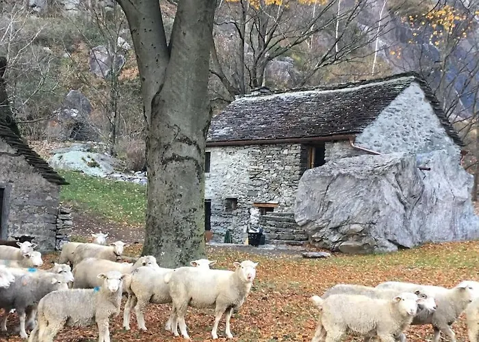 Rustico Gin Avegno Torbecc, Vallemaggia, Tessin,