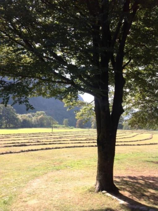 Rustico Gin Avegno Torbecc, Vallemaggia, Tessin, *