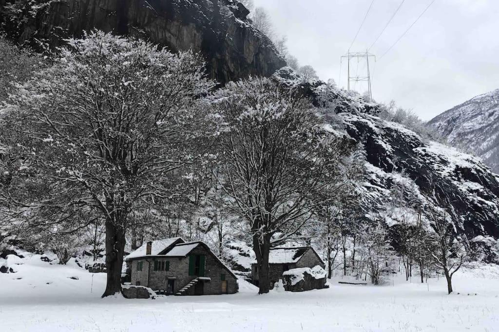 Rustico Gin Avegno Torbecc, Vallemaggia, Tessin,